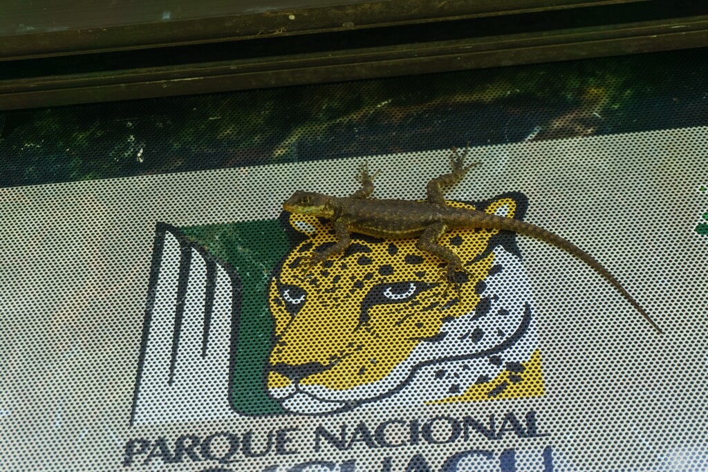 Национальный Парк Игуасу