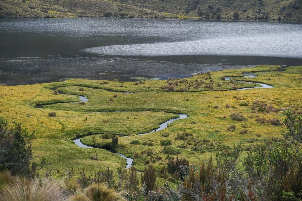 Национальный парк Кахас, Эквадор