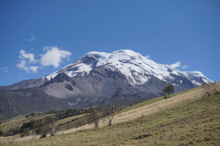 Visiting Chimborazo Reserve in One Day