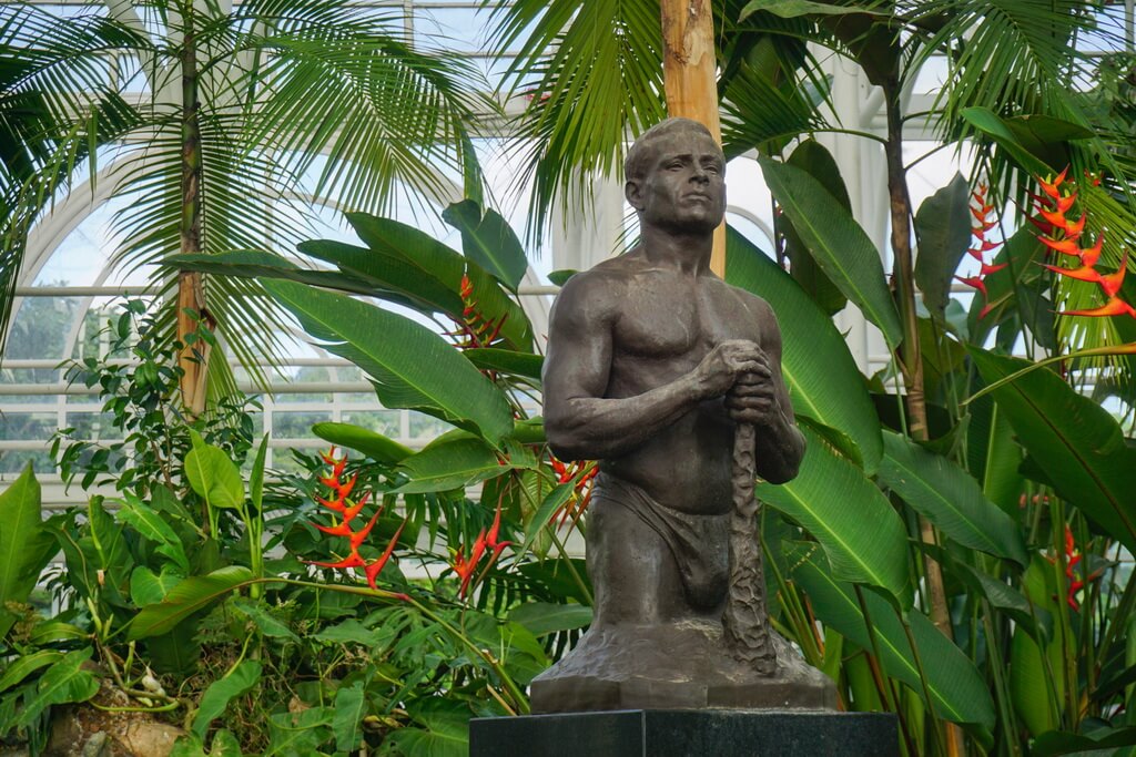 Ботанический сад города Куритиба